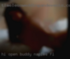 Hi open buddy Naples, FL to anything and everything.
