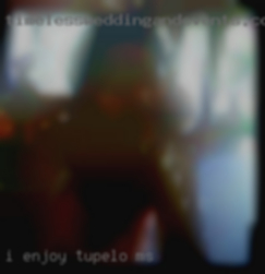 I enjoy in Tupelo, MS   the outdoors and traveling.